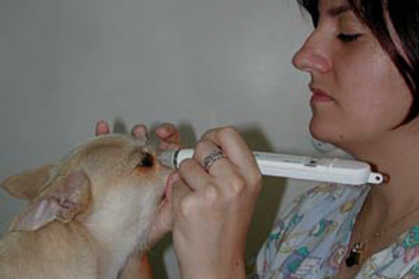 Centro Oftalmológico para Animales - Servicios clínicos